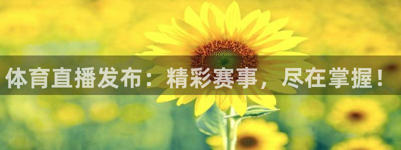 体育直播发布：精彩赛事，尽在掌握！