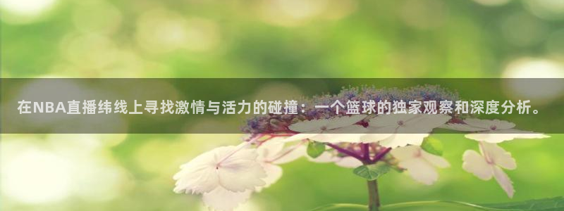 在NBA直播纬线上寻找激情与活力的碰撞：一个篮球的独家观察和深度分析。