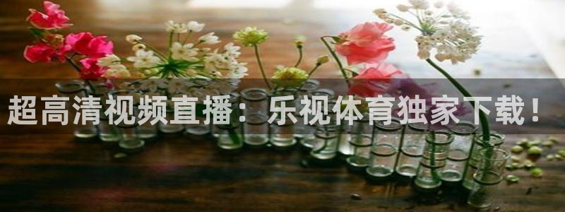 超高清视频直播：乐视体育独家下载！