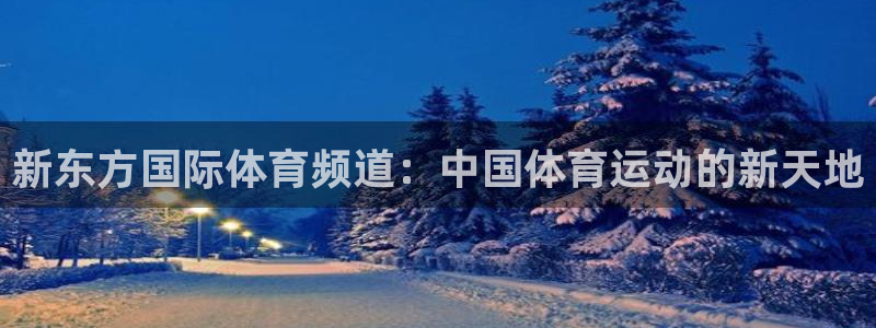 新东方国际体育频道：中国体育运动的新天地