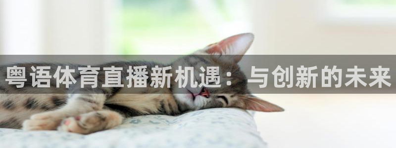 粤语体育直播新机遇：与创新的未来