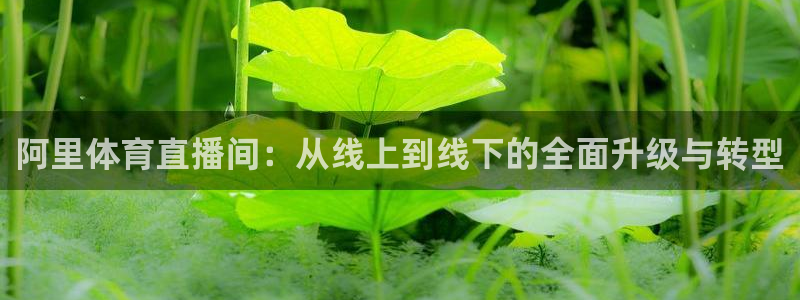 阿里体育直播间：从线上到线下的全面升级与转型