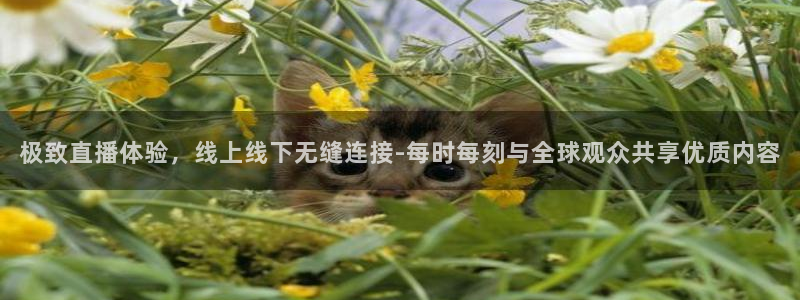 极致直播体验，线上线下无缝连接-每时每刻与全球观众共享优质内容