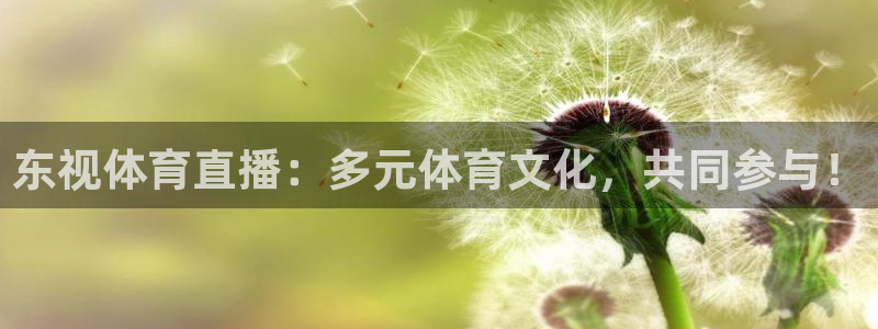 东视体育直播：多元体育文化，共同参与！